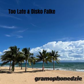 Too Late & Disko Falke album cover