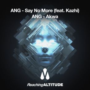 Say No More / Akwa album cover
