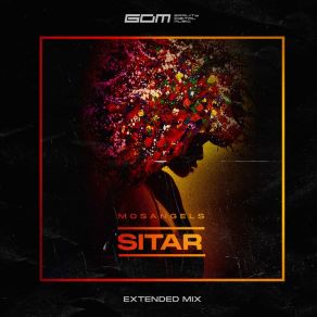 Sitar album cover