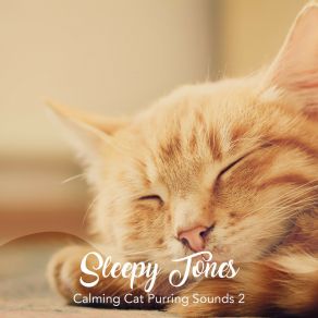Sleepy Tones: Calming Cat Purring Sounds 2 album cover