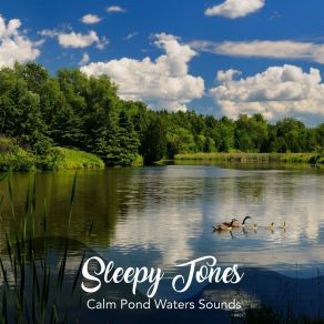 Sleepy Tones: Calm Pond Waters Sounds album cover
