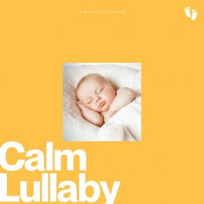 Calm Lullaby album cover