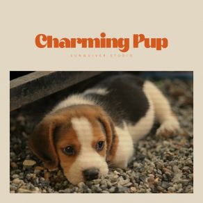 Charming Pup album cover