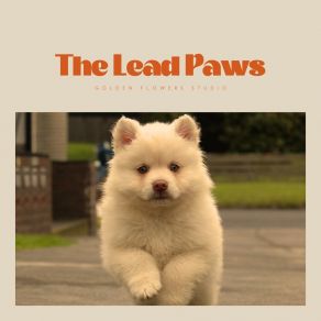 The Lead Paws album cover