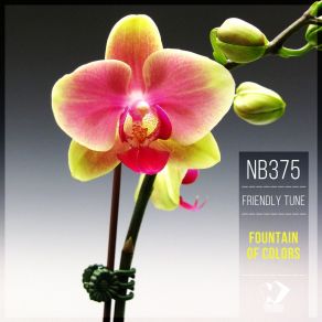 Fountain Of Colors (Original Mix) album cover