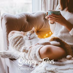 Sleepy Tones: Calming Cat Purring Sounds album cover