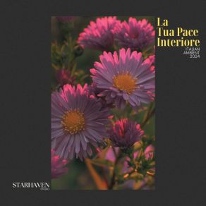 La Tua Pace Interiore album cover