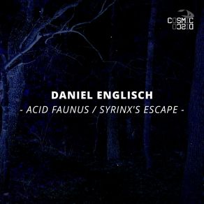 Acid Faunus album cover