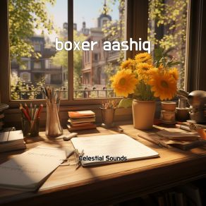 Boxer Aashiq album cover