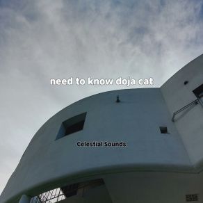 Need To Know Doja Cat album cover