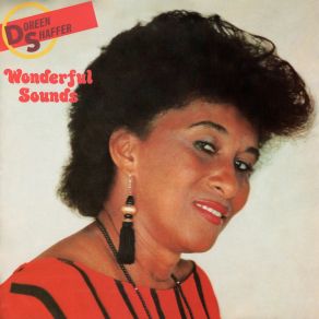 Wonderful Sound album cover