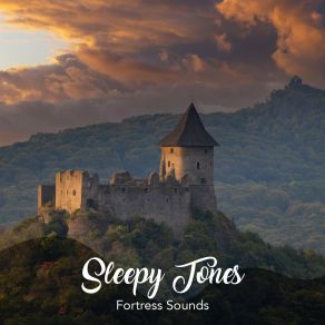 Sleepy Tones: Fortress Sounds album cover