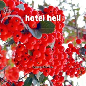 Hotel Hell album cover