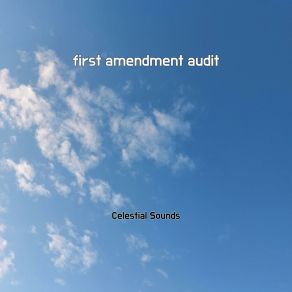 First Amendment Audit album cover