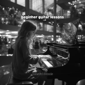 Beginner Guitar Lessons album cover
