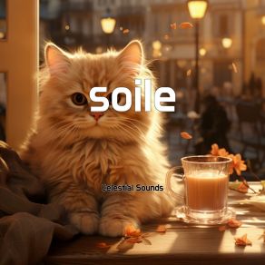 Soile album cover