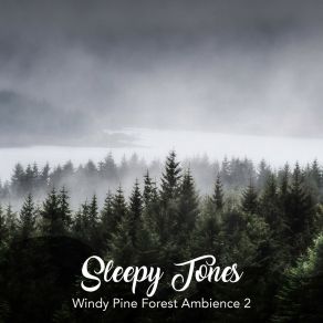 Sleepy Tones: Windy Pine Forest Ambience 2 album cover