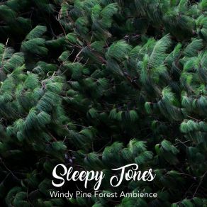 Sleepy Tones: Windy Pine Forest Ambience album cover