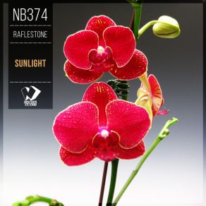 Sunlight album cover