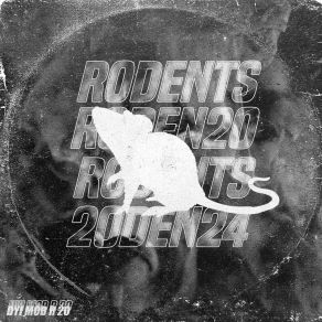 R 20 album cover