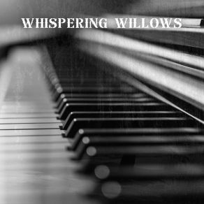 Whispering Willows: Instrumental Piano Songs album cover