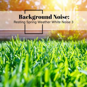 Background Noise: Resting Spring Weather White Noise 3 album cover