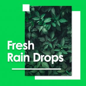 Fresh Rain Drops album cover