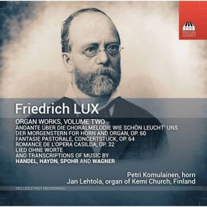 Friedrich Lux - Organ Works, Vol. 2 - Jan Lehtola, Petri Komulainen album cover