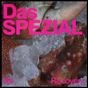 No Recovery Feat. Cream With A K album cover