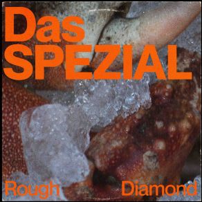 Rough Diamond Feat. Reign MC album cover