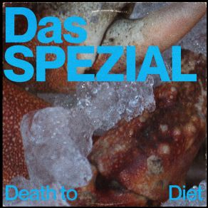 Death To Diet album cover