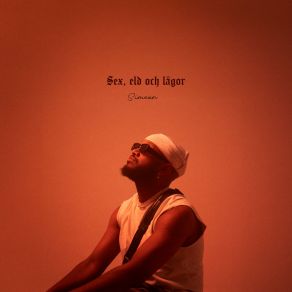 SEX, ELD & LÅGOR album cover