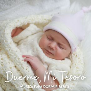 Duerme, Mi Tesoro: Nanas Para Bebés album cover