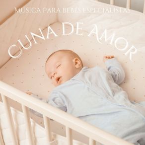 Cuna De Amor: Canciones Para Dormir album cover