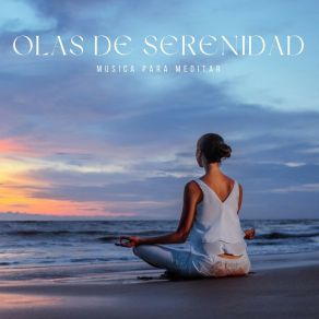 Olas De Serenidad: Música De Spa album cover