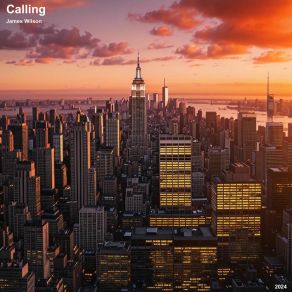 Calling album cover