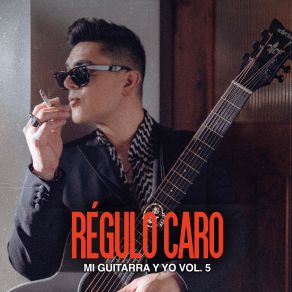 Mi Guitarra Y Yo, Vol. 5 album cover