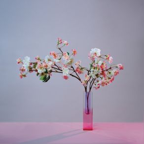 Plum Blossom (Revisited) album cover