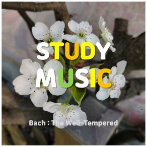 Classical Piano Study Music / Bach: The Well-Tempered album cover