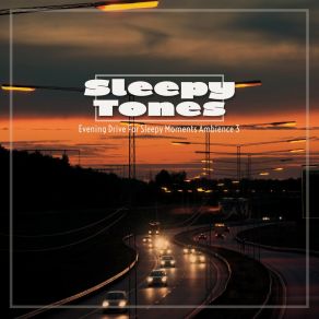Sleepy Tones: Evening Drive For Sleepy Moments Ambience 3 album cover