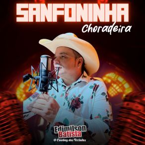 Sanfoninha Choradeira album cover