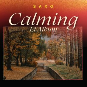 Calming album cover