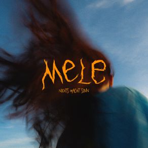 Nichts Macht Sinn album cover