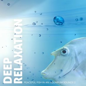 Deep Relaxation: Peaceful Fish In An Aquarium Sounds 2 album cover