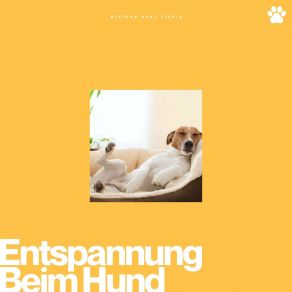 Entspannung Beim Hund album cover