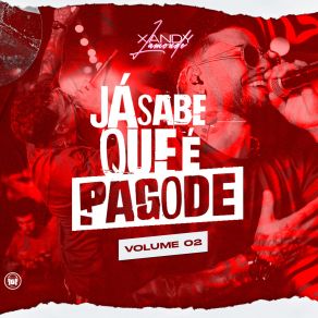 Já Sabe Que É Pagode, Vol. 2 album cover