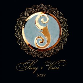 I Voice XXIV album cover
