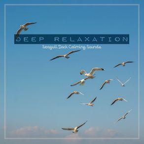 Deep Relaxation: Seagull Dock Calming Sounds album cover