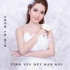 Tình Yêu Hết Hạn Rồi album cover