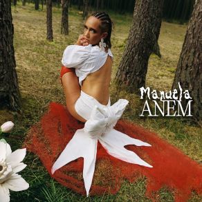 Anem album cover